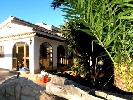 Image 13