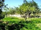 Finca en Cervera