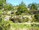 Finca en Cervera