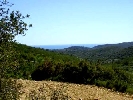 Finca en Cervera