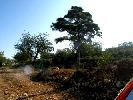 Plot of Land in Cálig