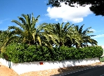 Casa en Peñiscola