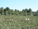 Plot of Land in Sant Jordi