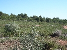 Plot of Land in Sant Jordi