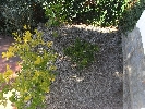 Image 52
