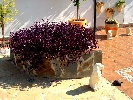House in Vinaroz