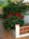 House in Vinaroz