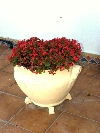 House in Vinaroz