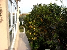 House in Peñiscola
