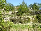 Propriété Rurale en Cervera