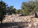 Propriété Rurale en Cervera