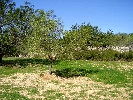 Propriété Rurale en Cervera