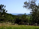 Propriété Rurale en Cervera