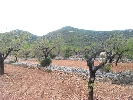 Finca Fuente Carmelito