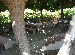 House in Peñiscola