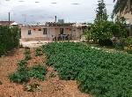 Finca Benicarlo T & S